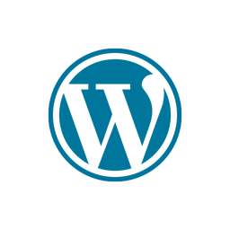 Website Design Icon